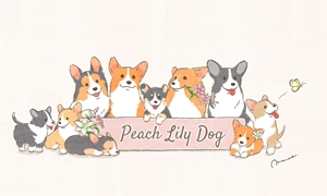 Peach Lily Dog