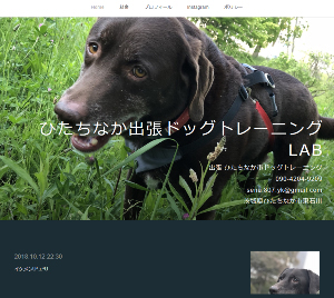 出張DOG TRANING LAB ドッグトレーニングラブ