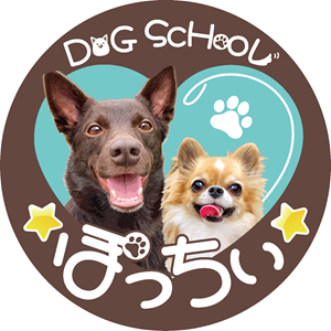 DOG SCHOOL ★ぽっちぃ★